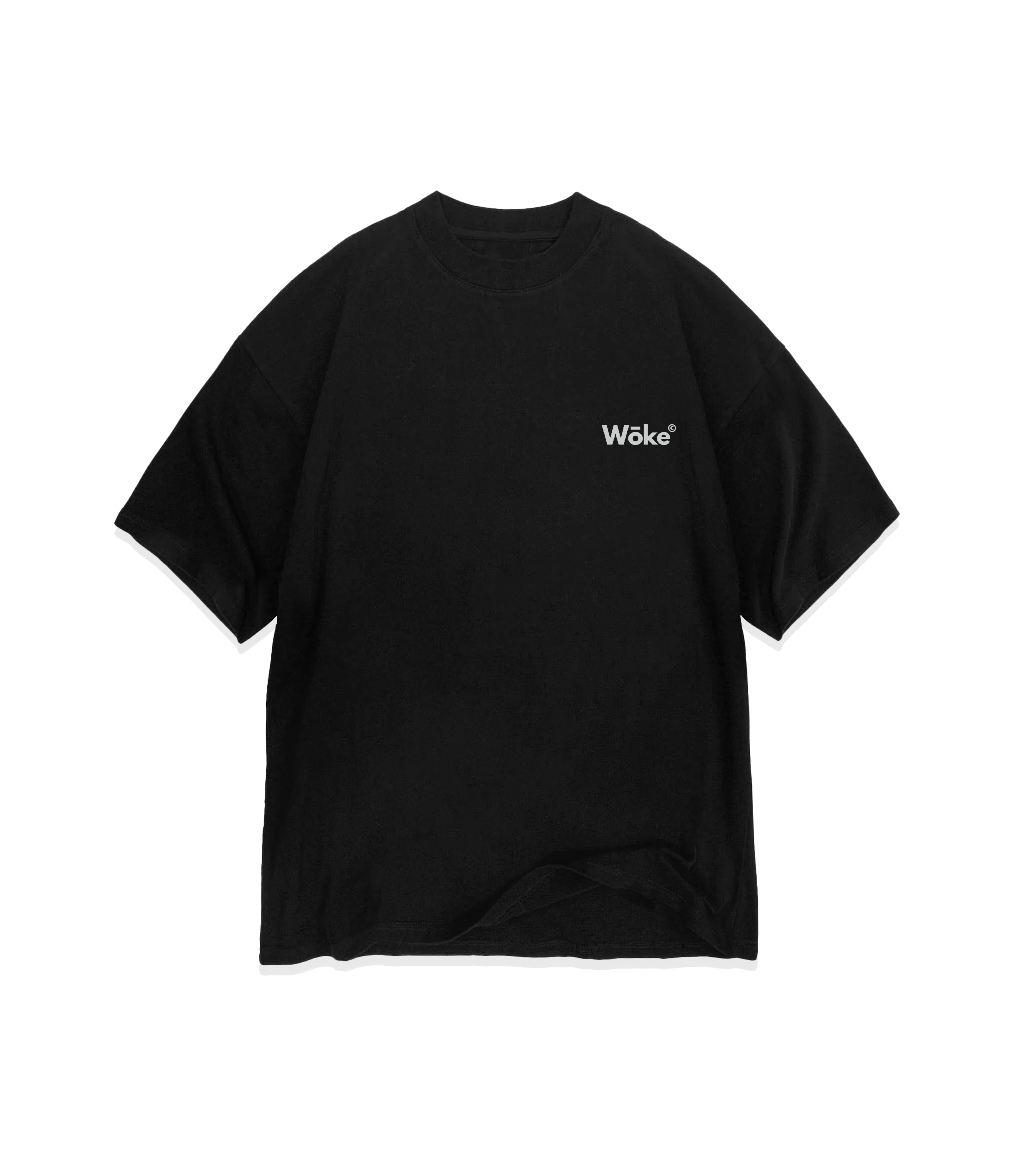 Camiseta Oversized Classic 2