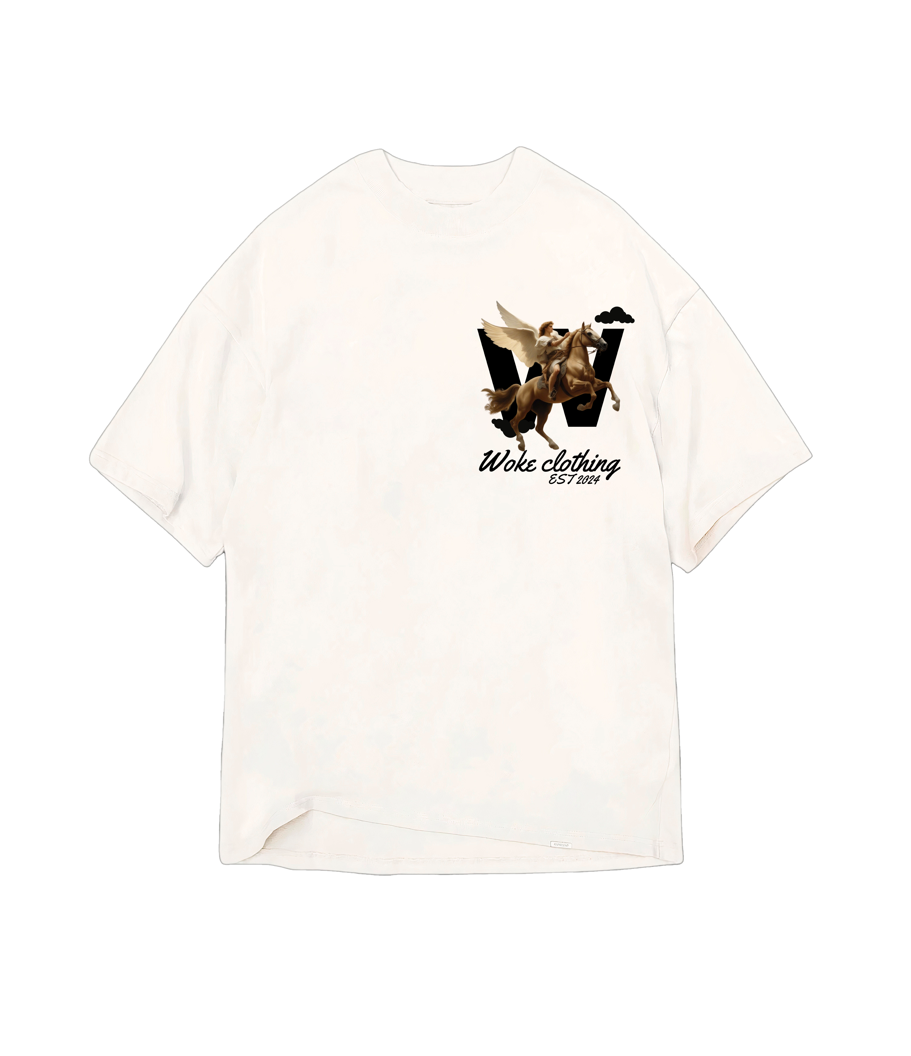 Camiseta Oversized Pegasus Rise