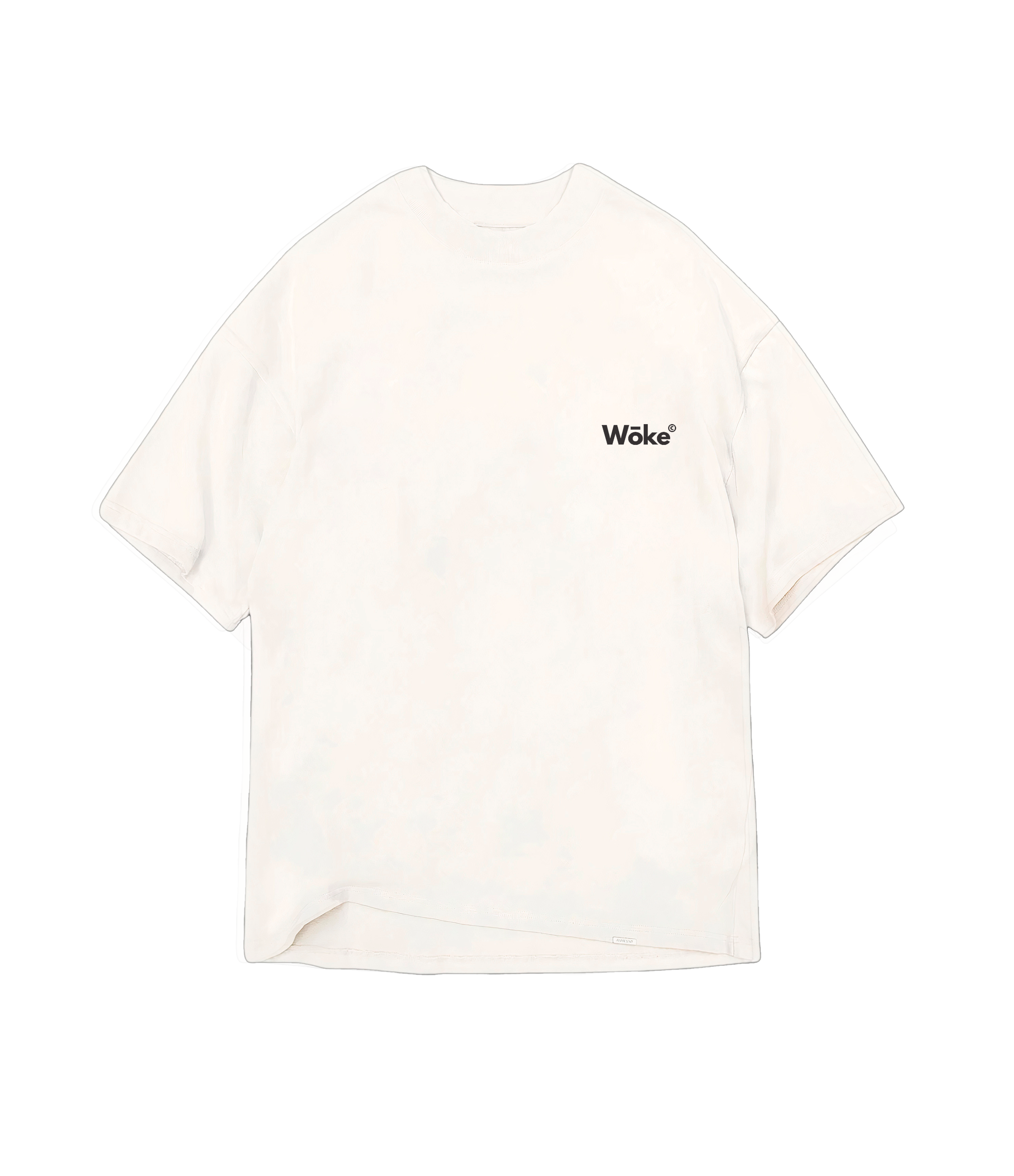 Camiseta Oversized Classic 2