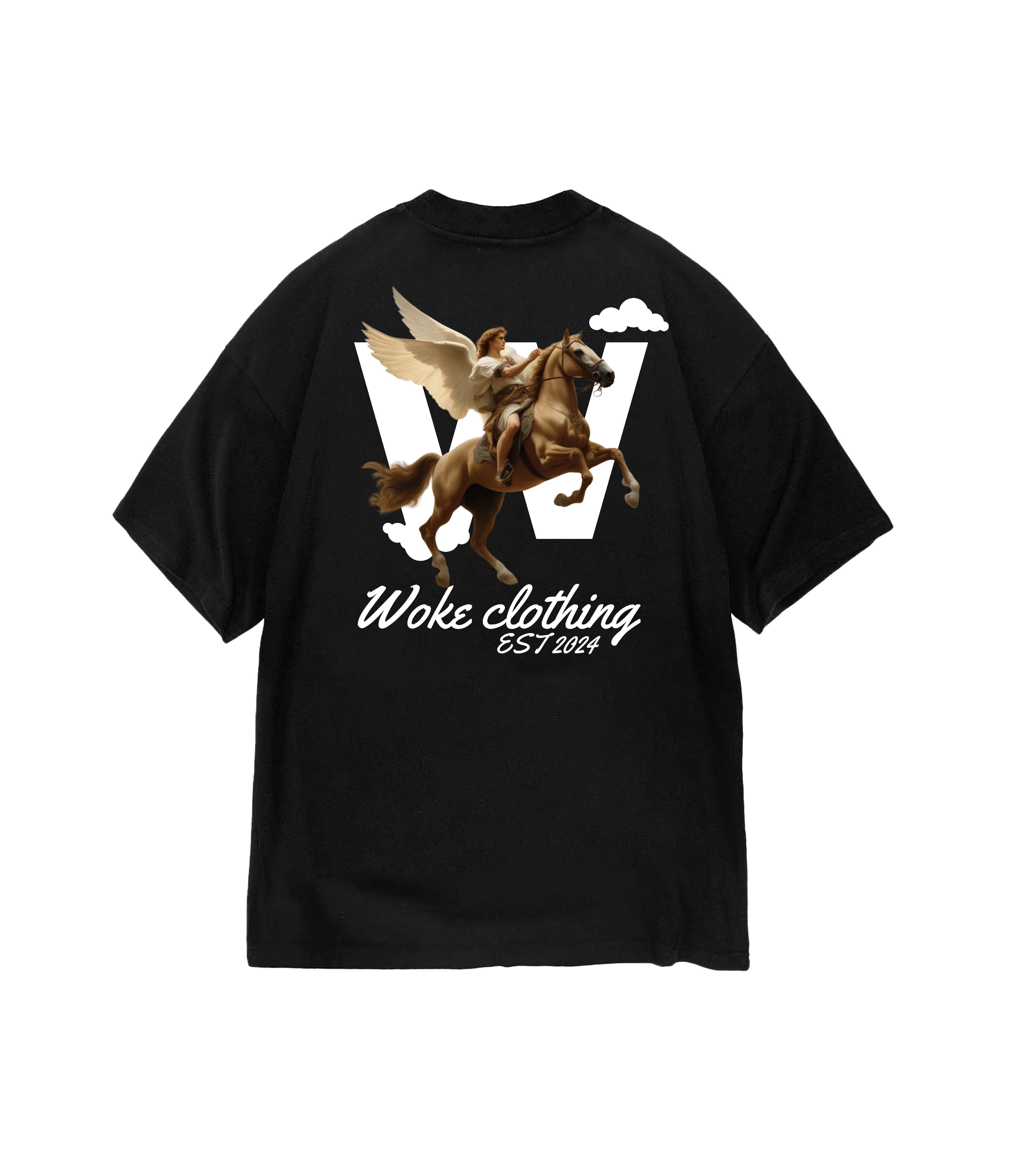 Camiseta Oversized Pegasus Rise