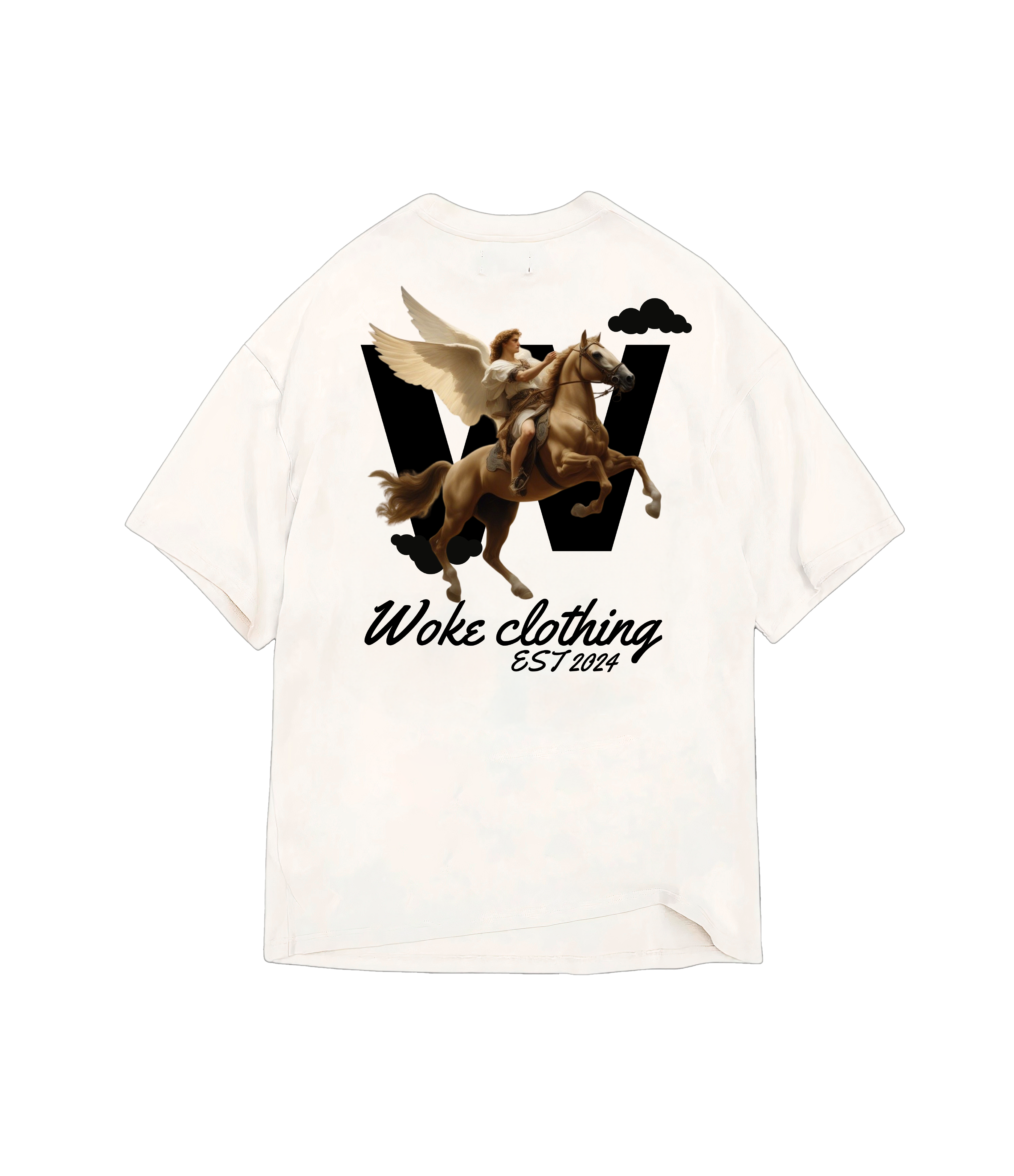 Camiseta Oversized Pegasus Rise